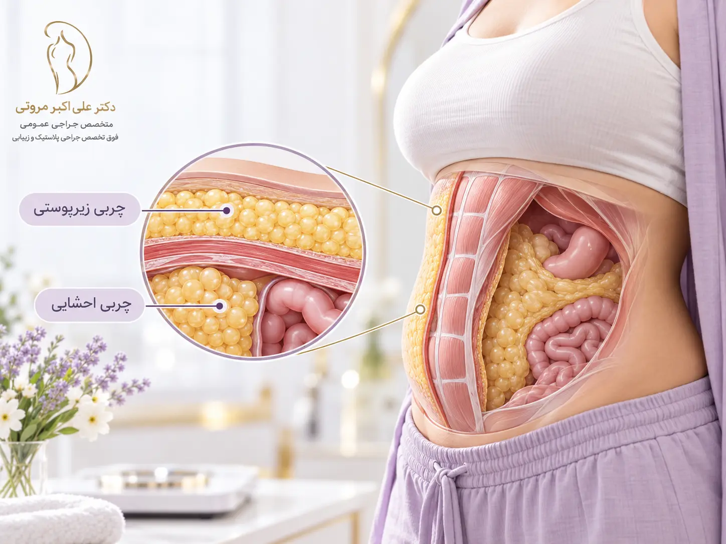تفاوت چربی زیرپوستی و چربی احشایی شکم و تأثیر پیکرتراشی بر آنها